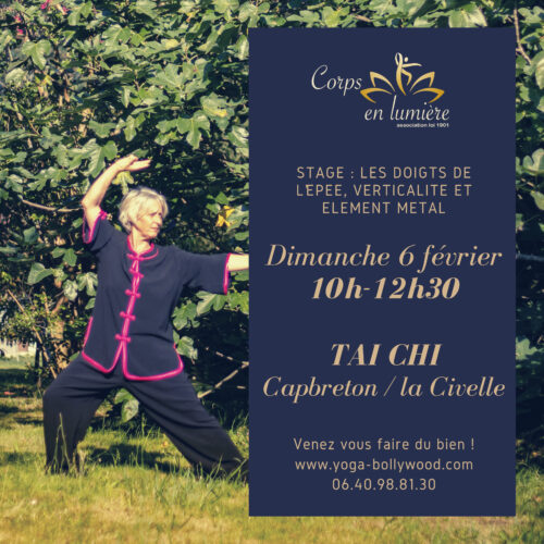 tai chi chuan